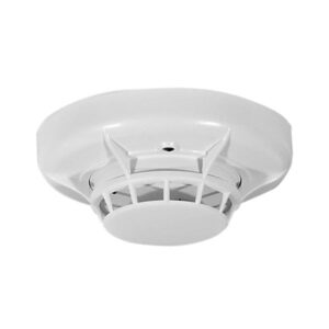 ECO1005T