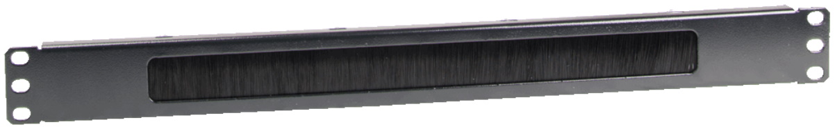 RAPS-1
