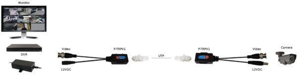 P-TRPV1