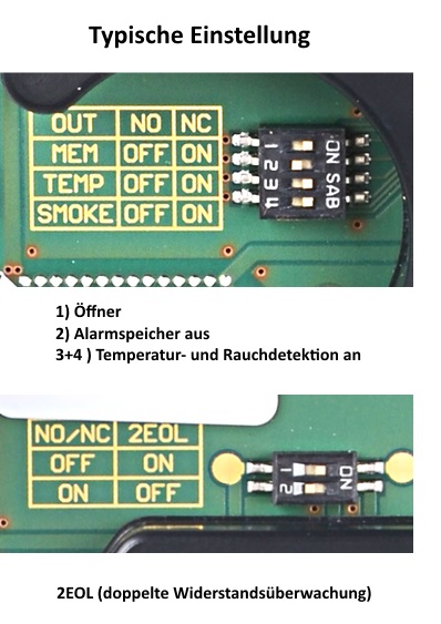 TSD-1