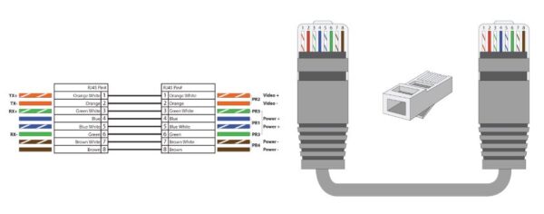 P-TRPV1
