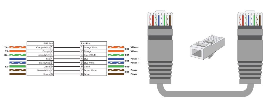 P-TRPV1