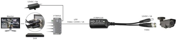 P-TRPV1