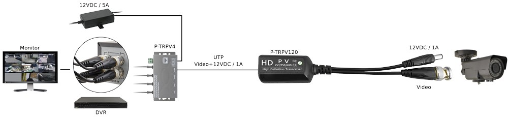 P-TRPV1
