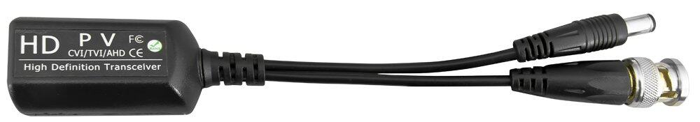 P-TRPV1